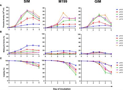 Stimulation of metacyclogenesis in Leishmania (Mundinia) orientalis for mass production of metacyclic promastigotes